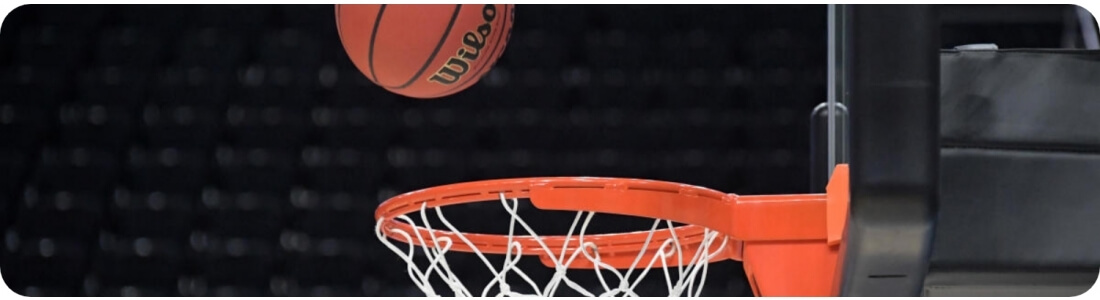Türkiye Milli Takım Basketbol Maç Biletleri